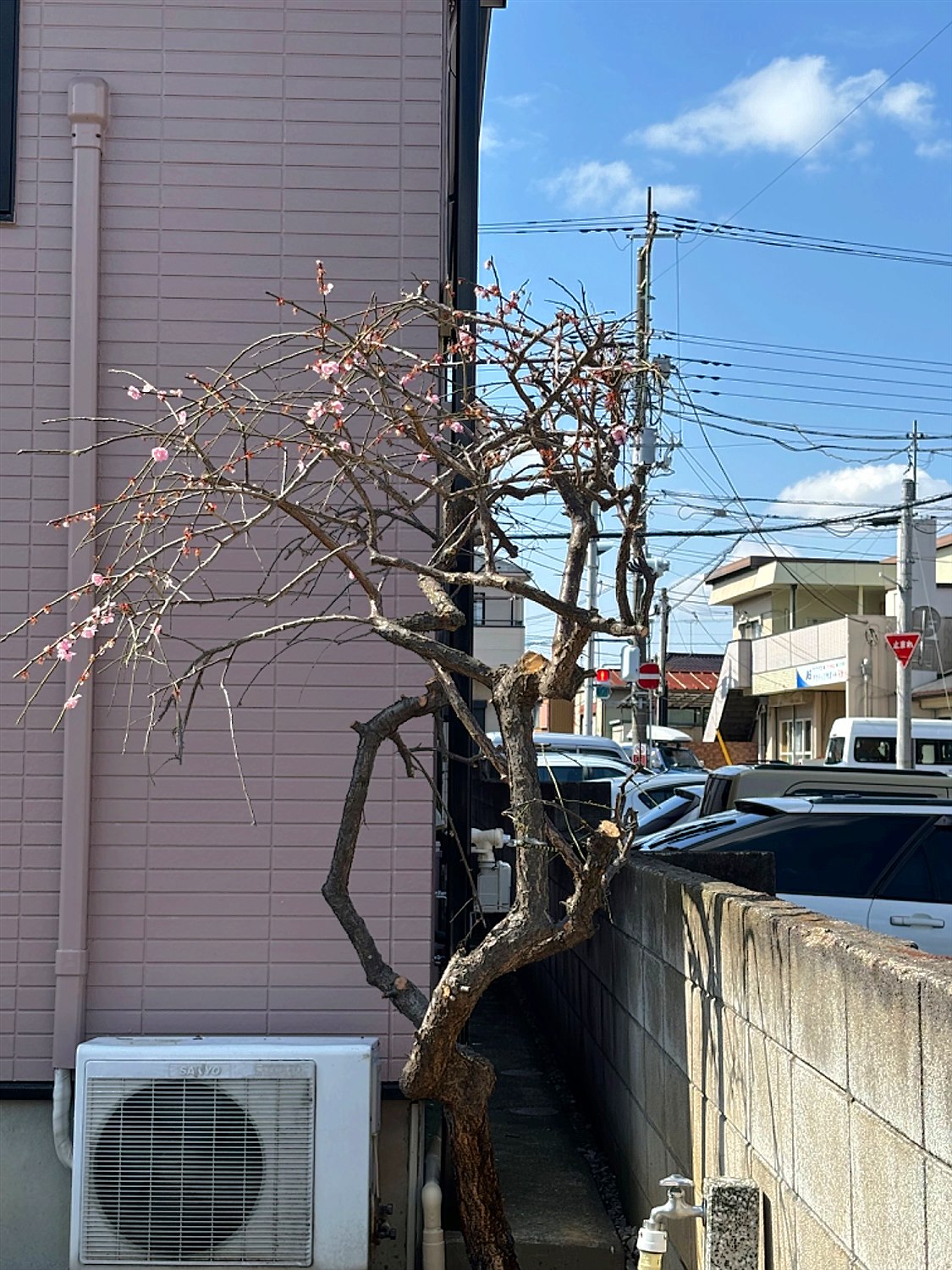 施工後2