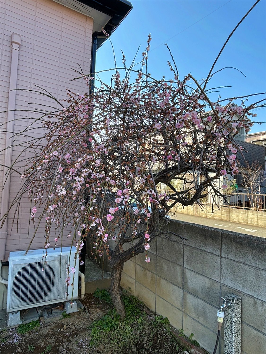 施工前2