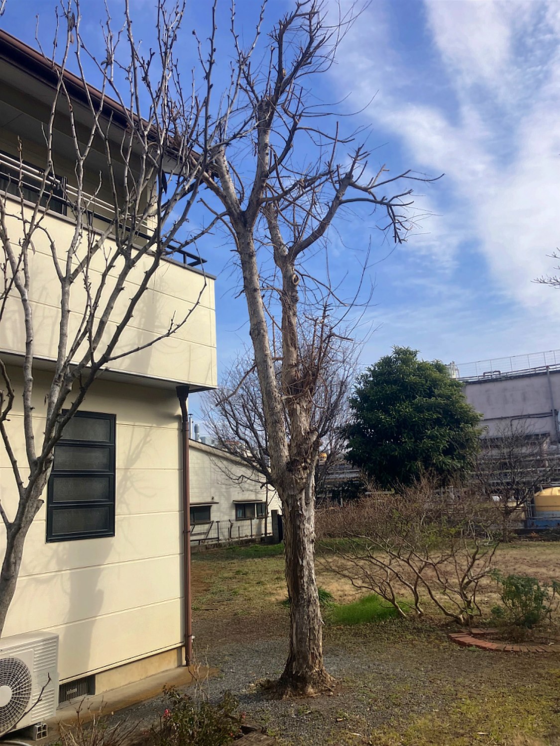 施工前