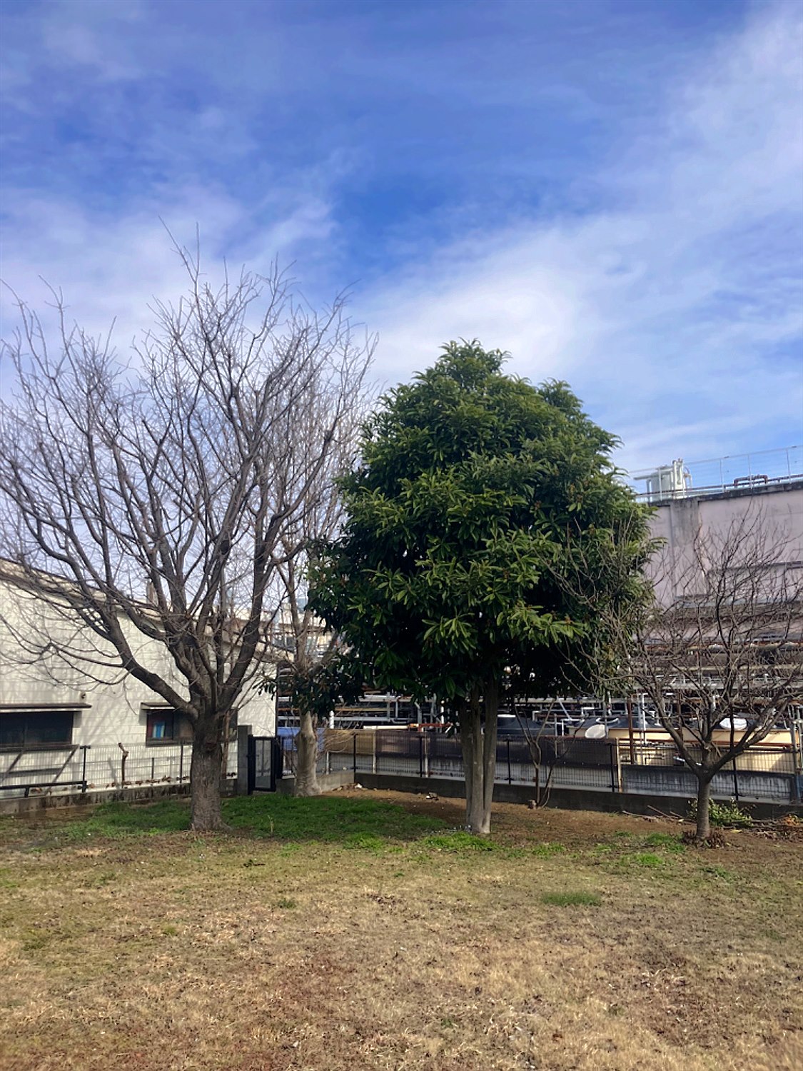 施工前2