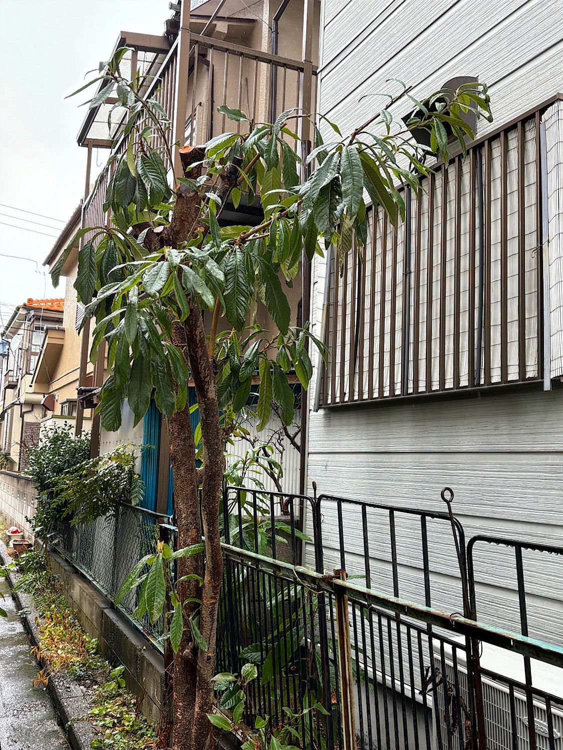 施工後2