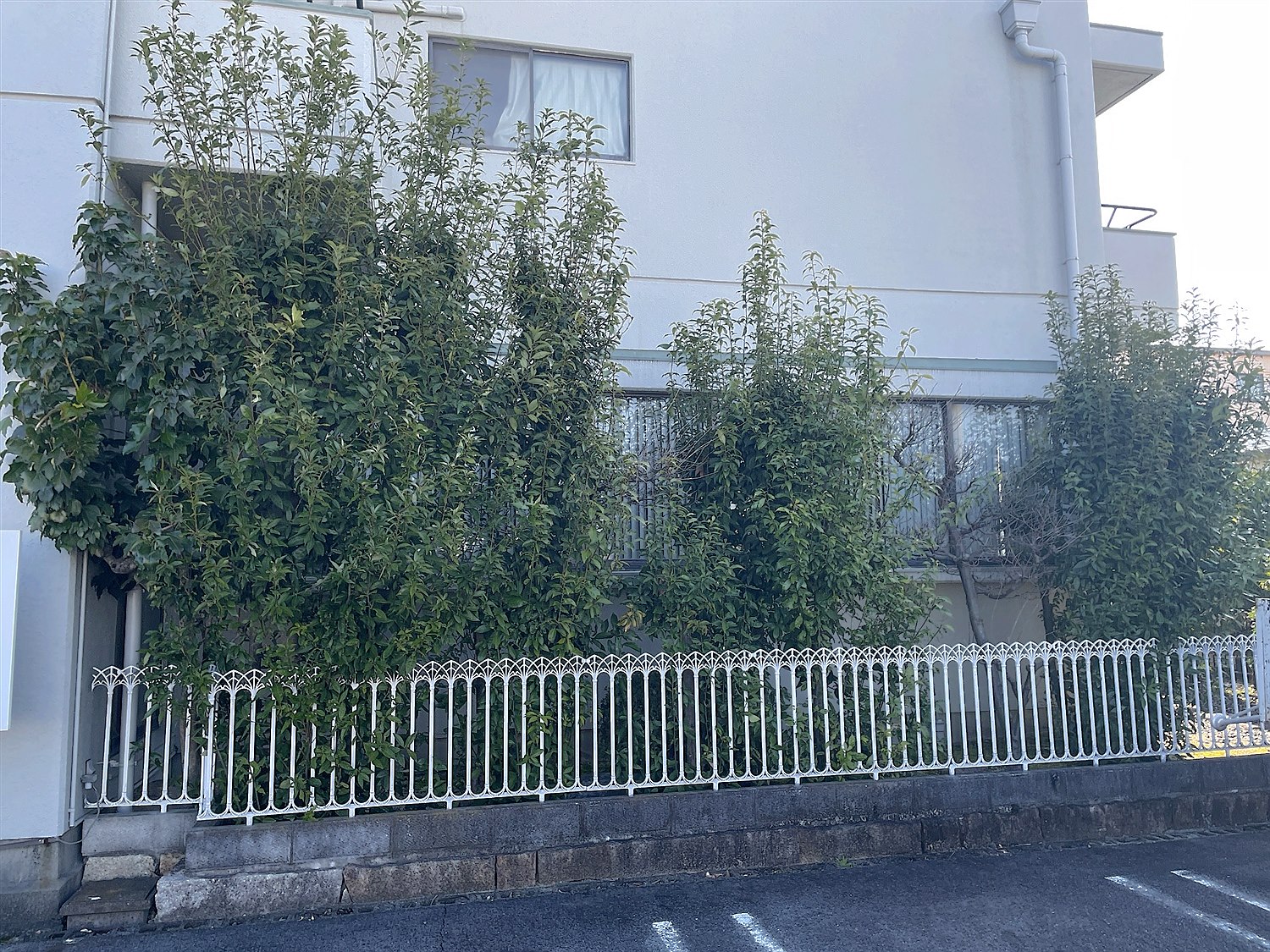施工前
