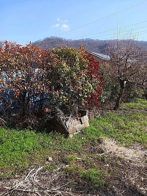 施工前