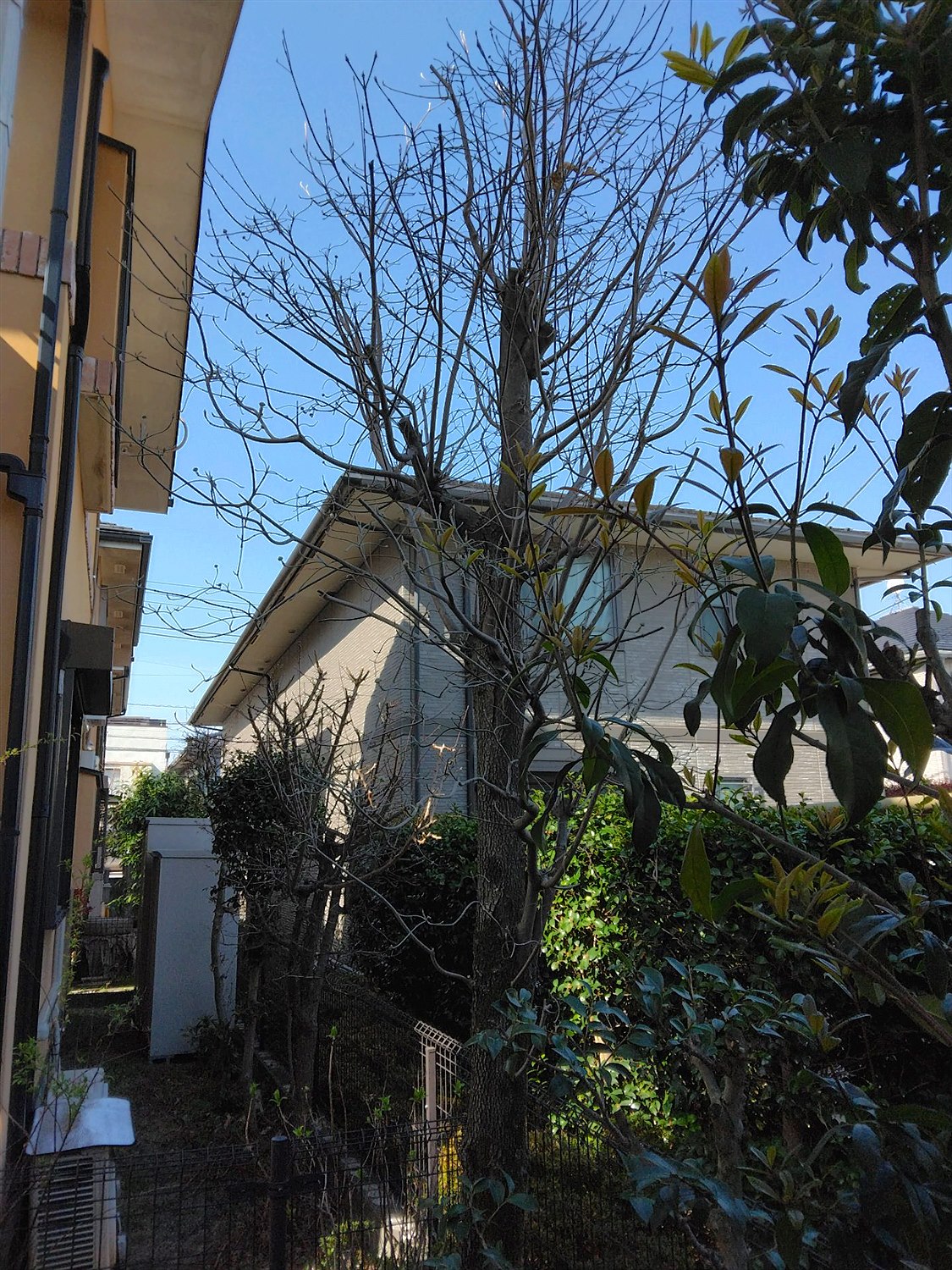 施工前2