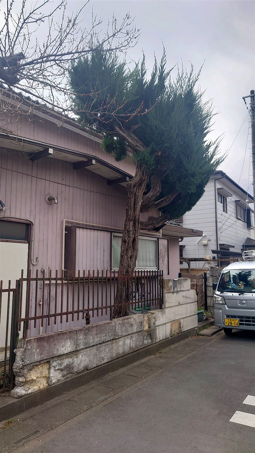 施工前