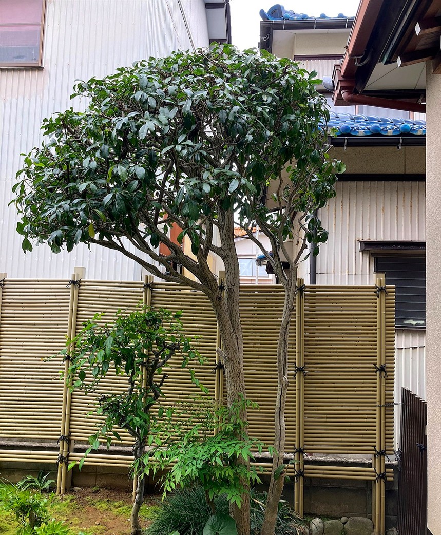 施工後2