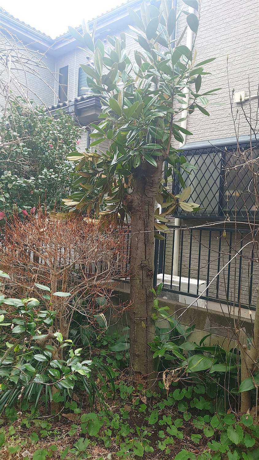 施工前