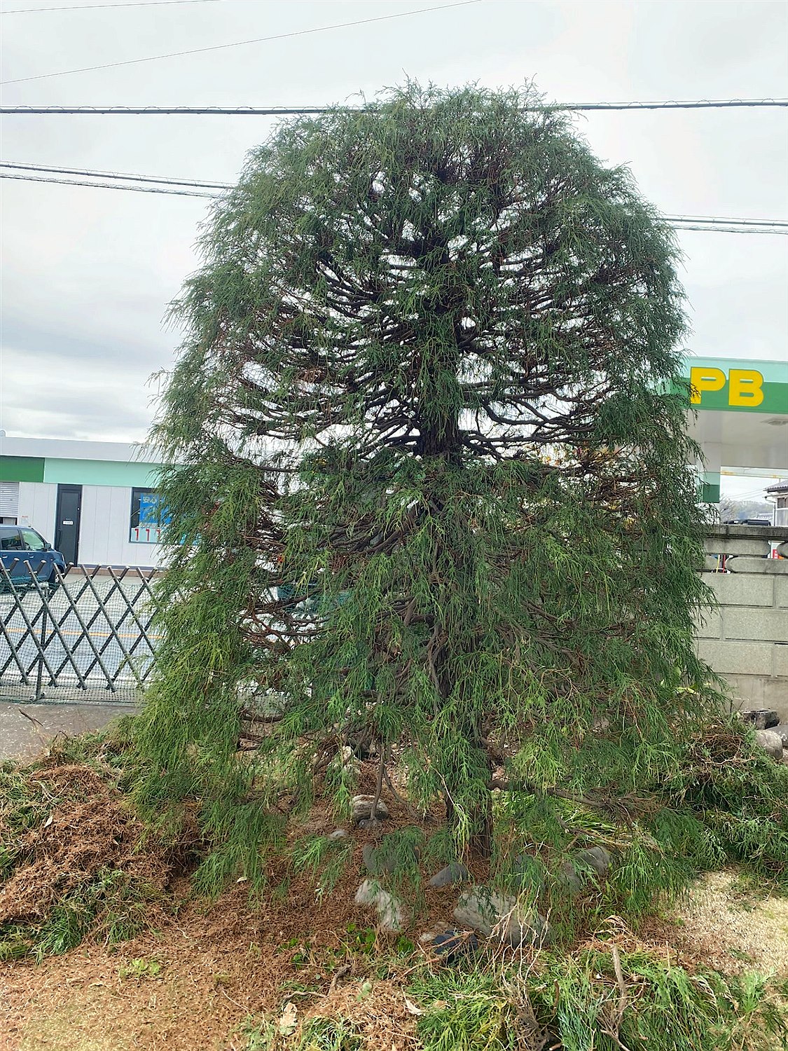 施工後2