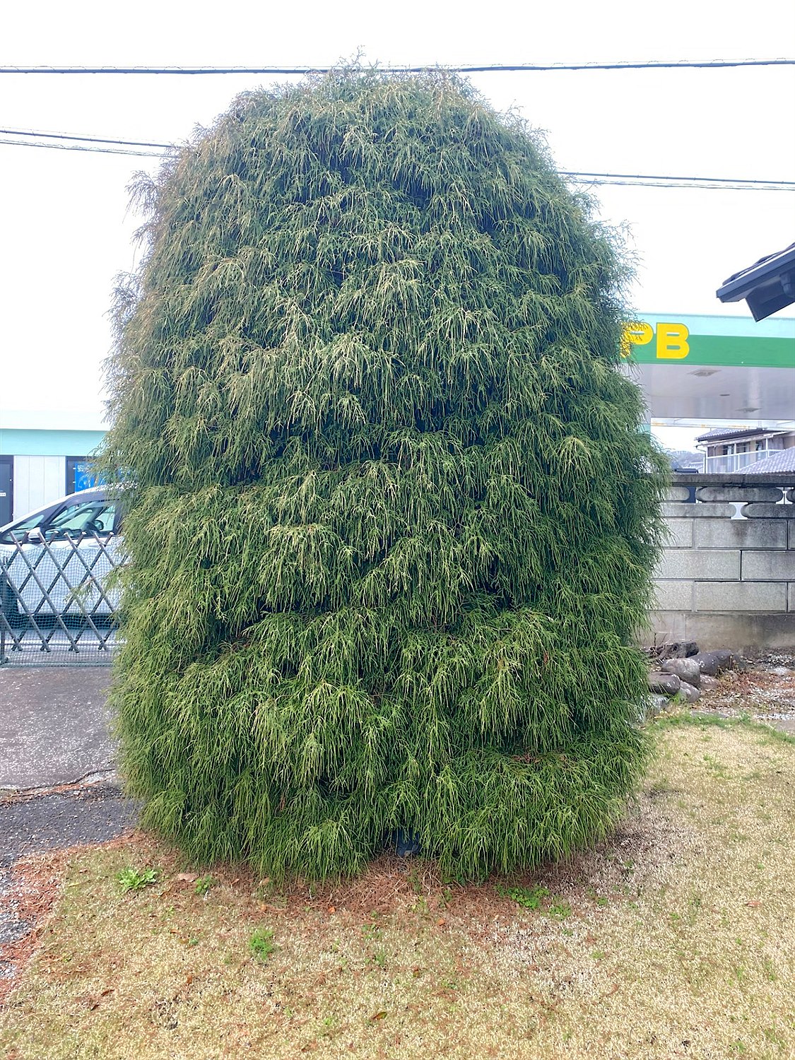 施工前2