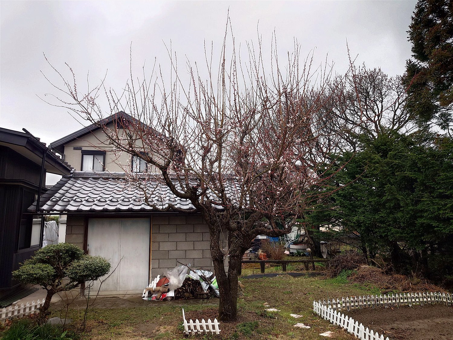 施工前2