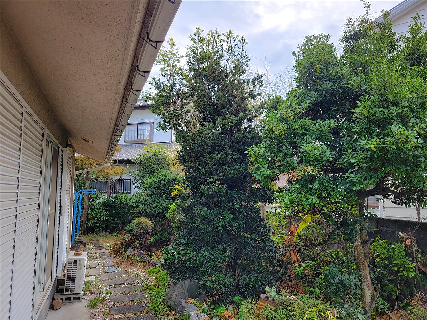 施工前2