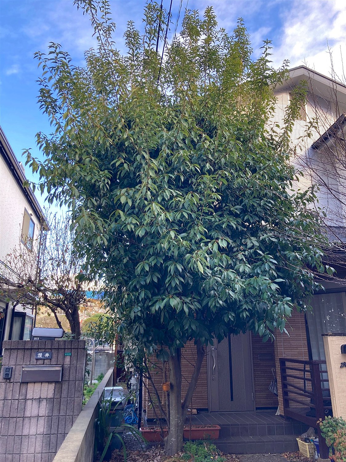施工前2