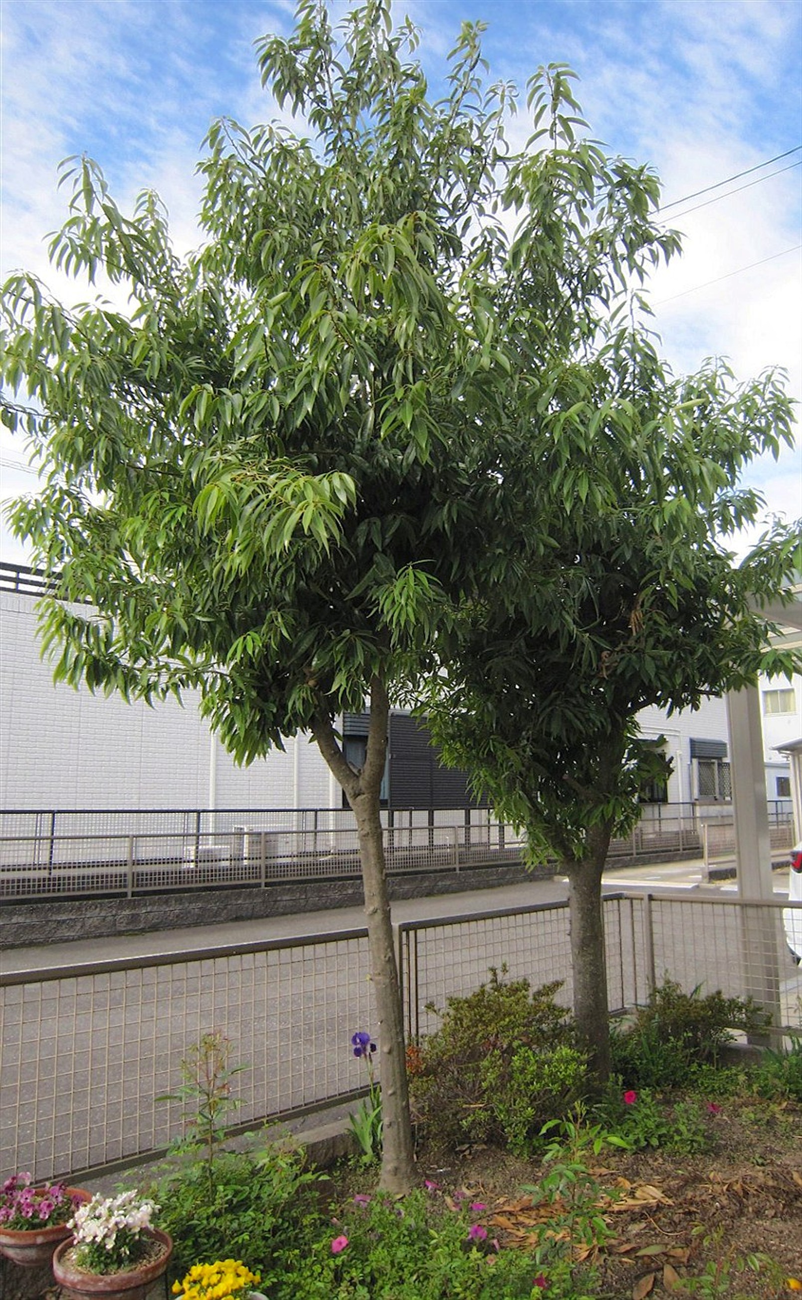 施工前2