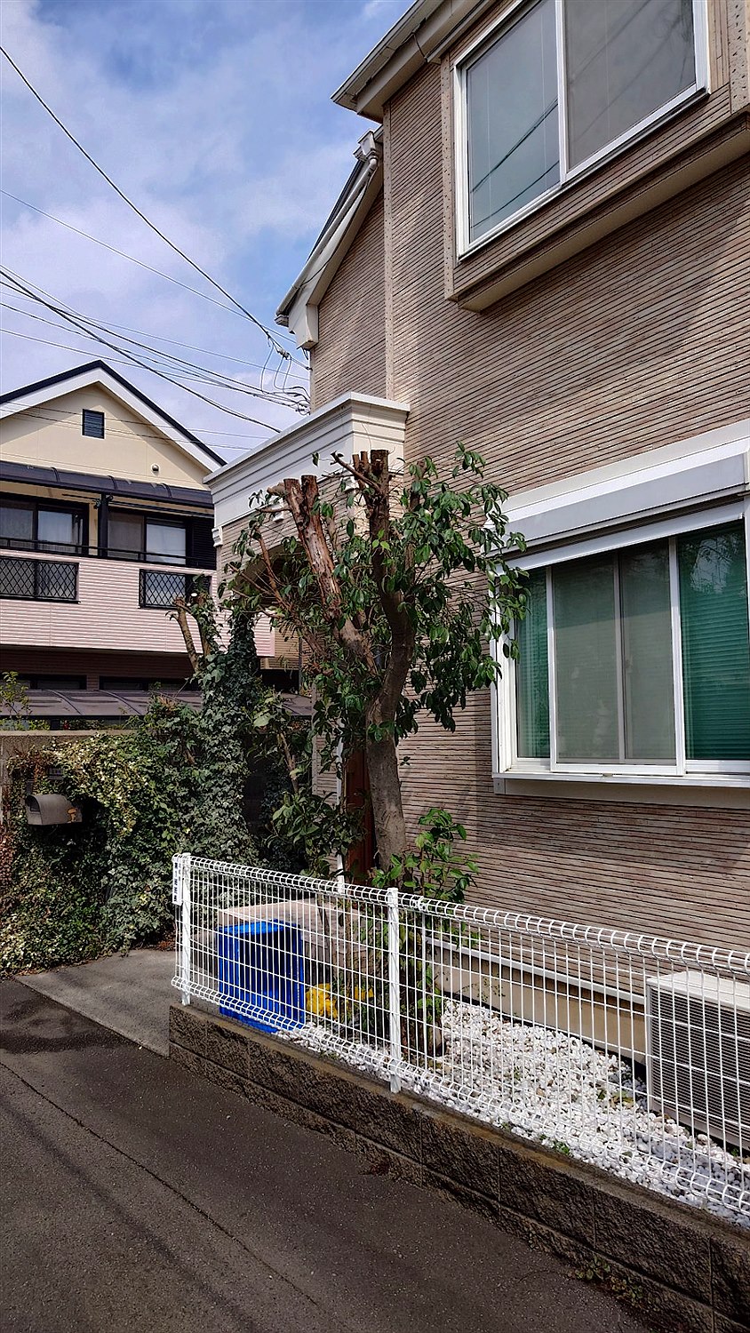 横浜市南区／庭木剪定