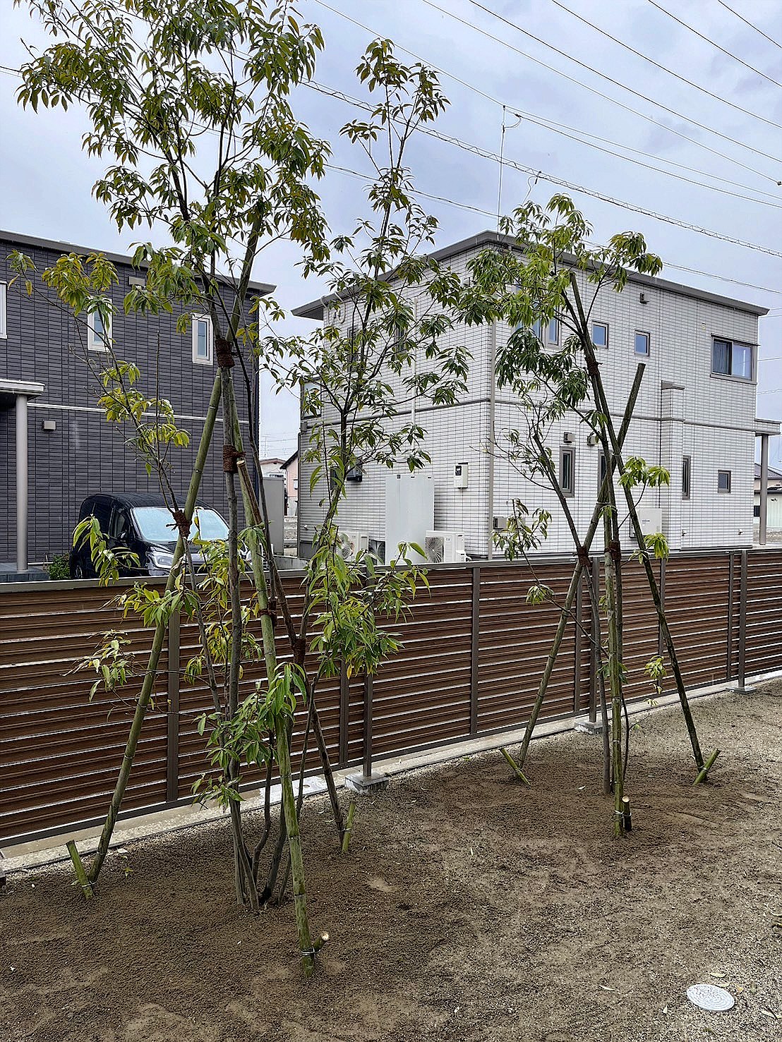 静岡県静岡市葵区／庭木剪定