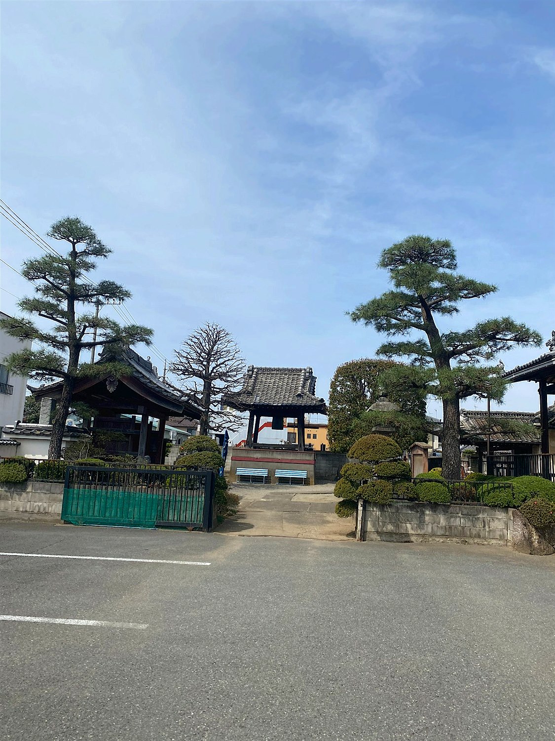 埼玉県入間市／庭木剪定