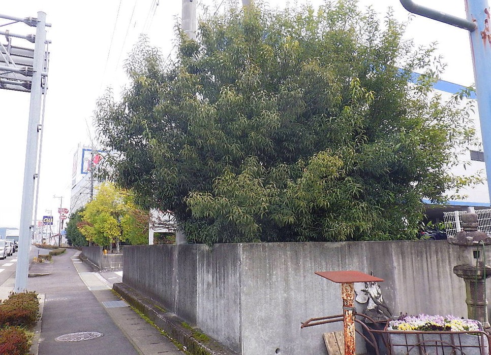 施工前