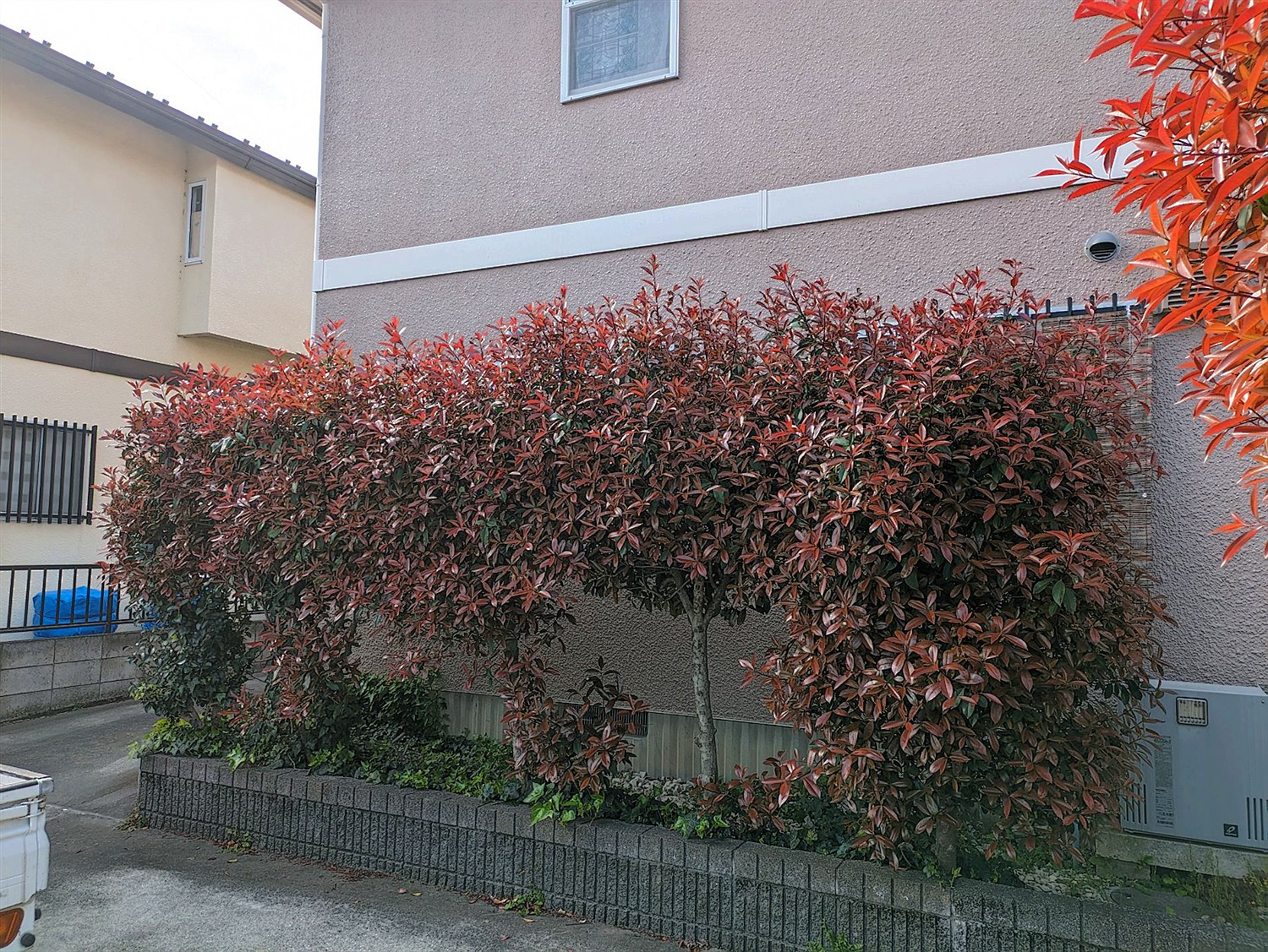 施工前2