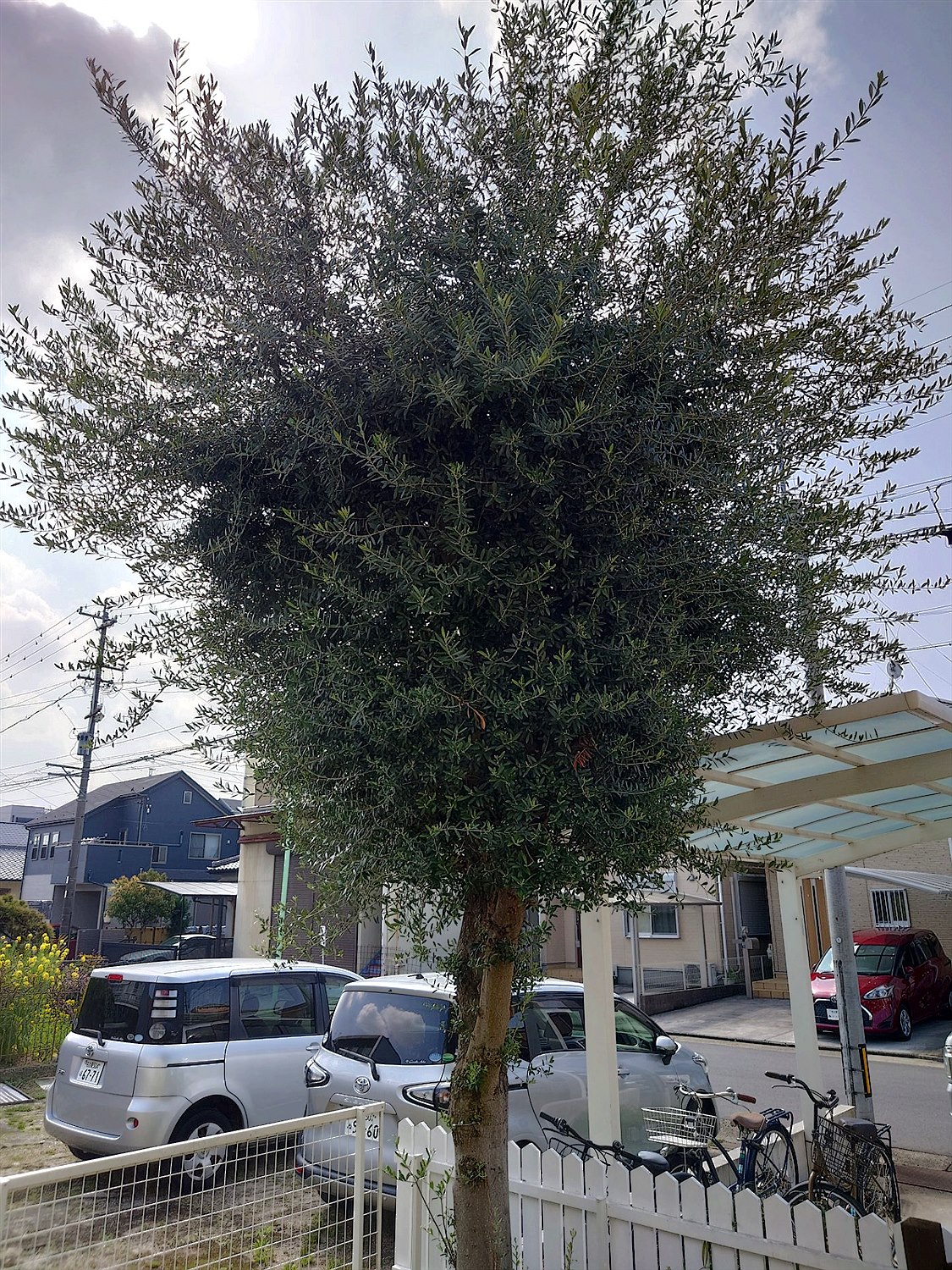 施工前