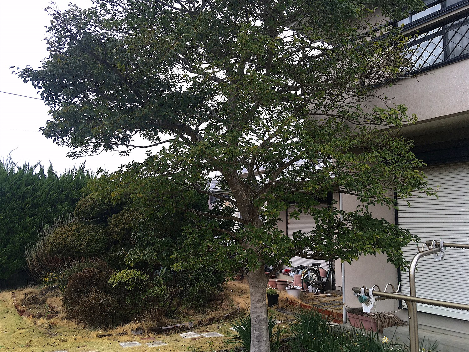 施工前2
