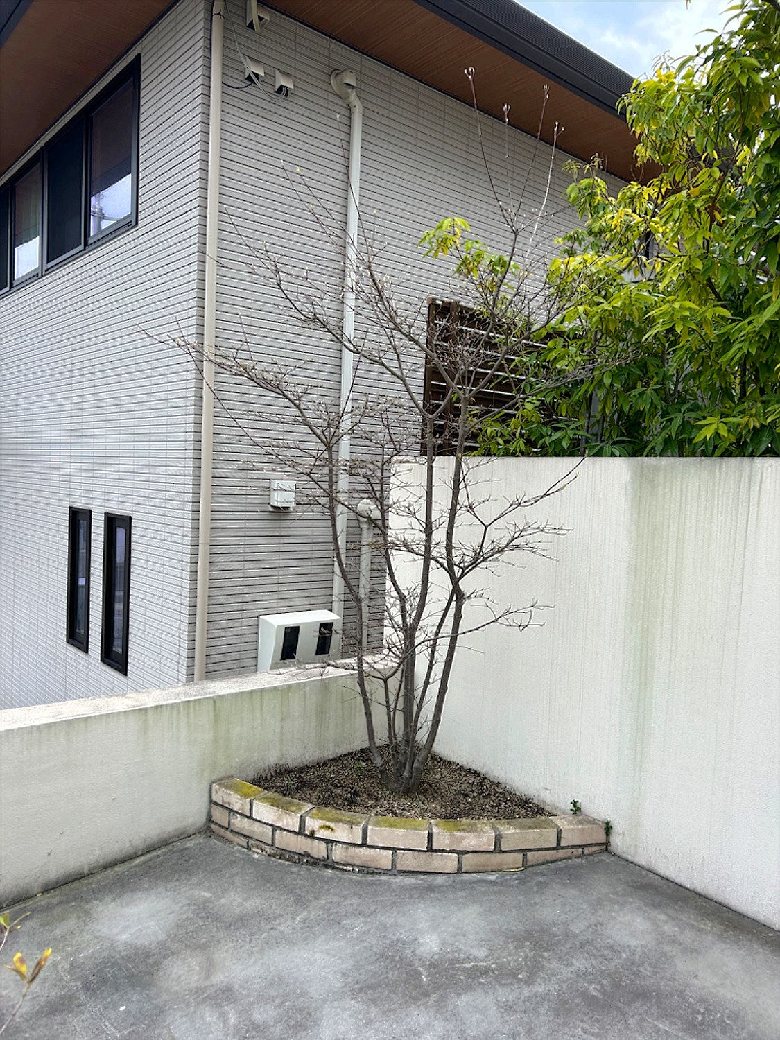 施工前2