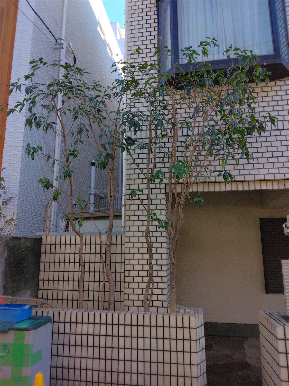 施工後2