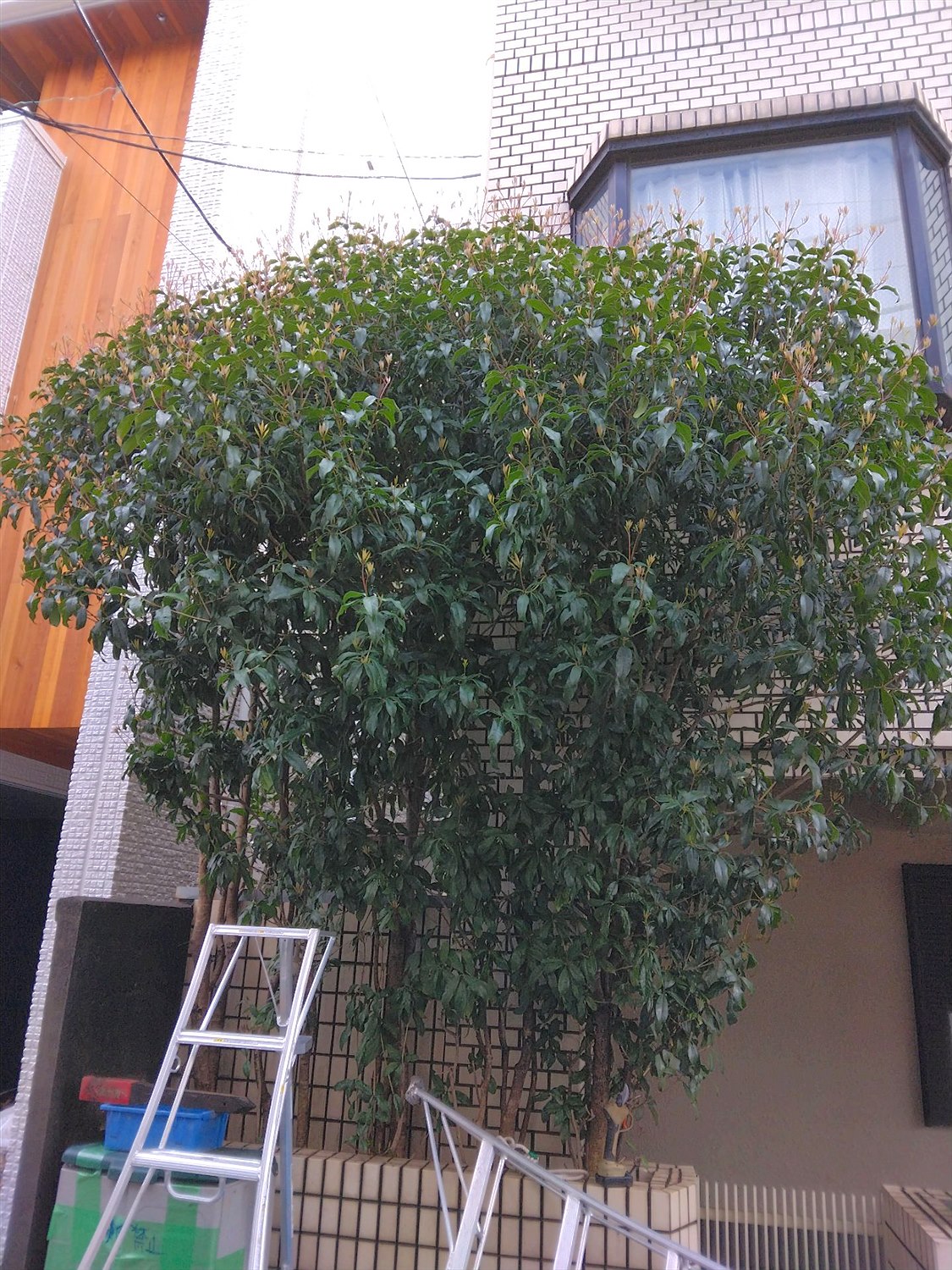 施工前2