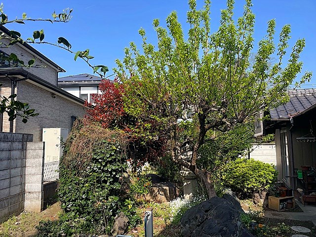 施工前2