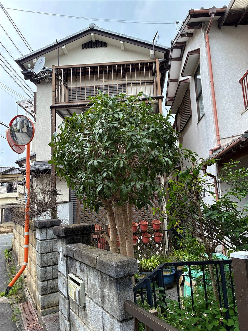 施工後2
