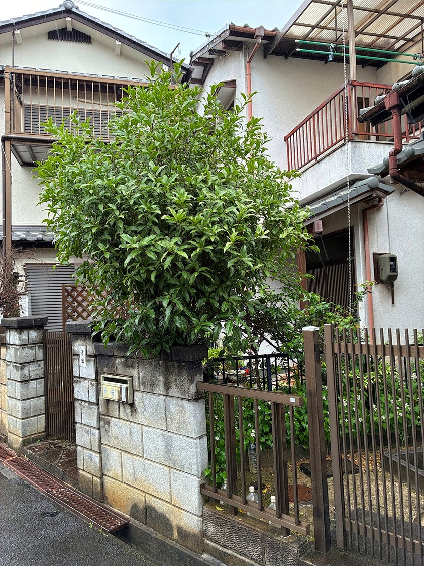 施工前2