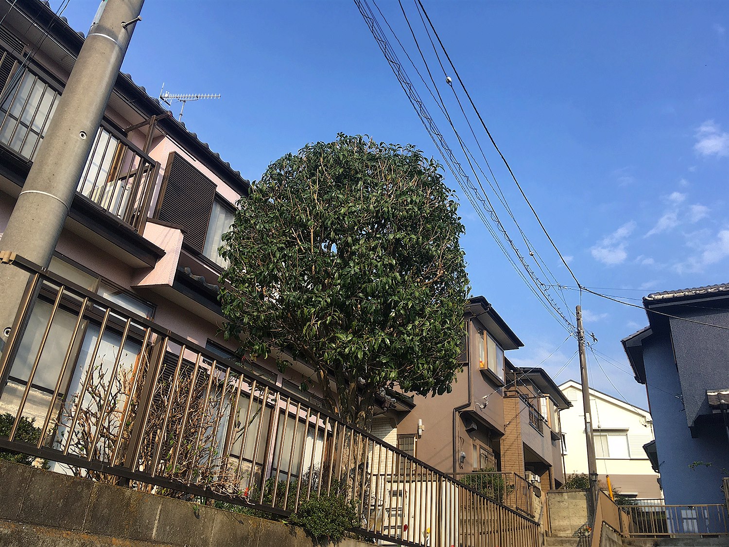 施工後2