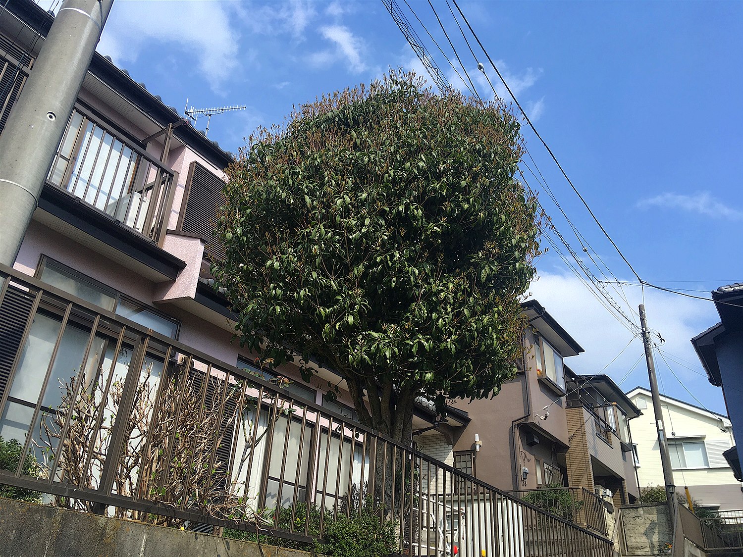 施工前2