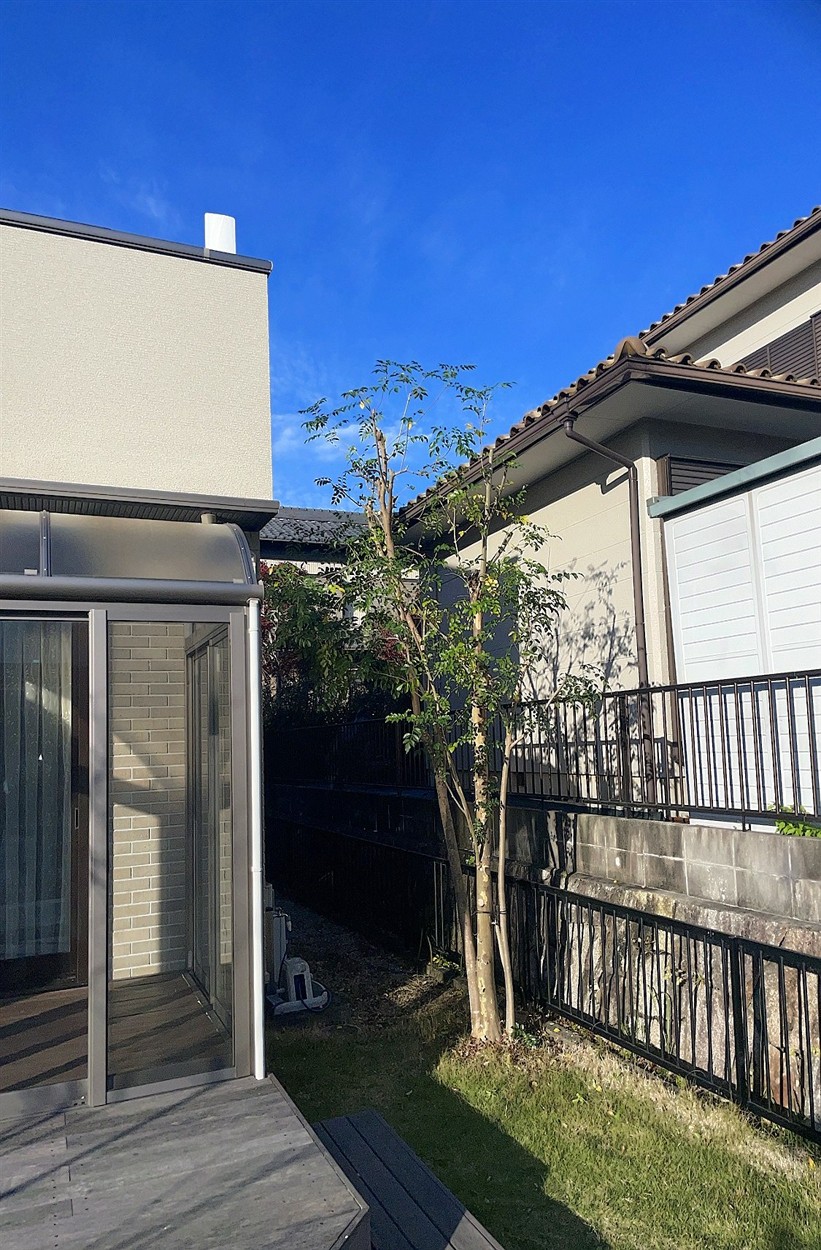 京都府亀岡市／庭木剪定