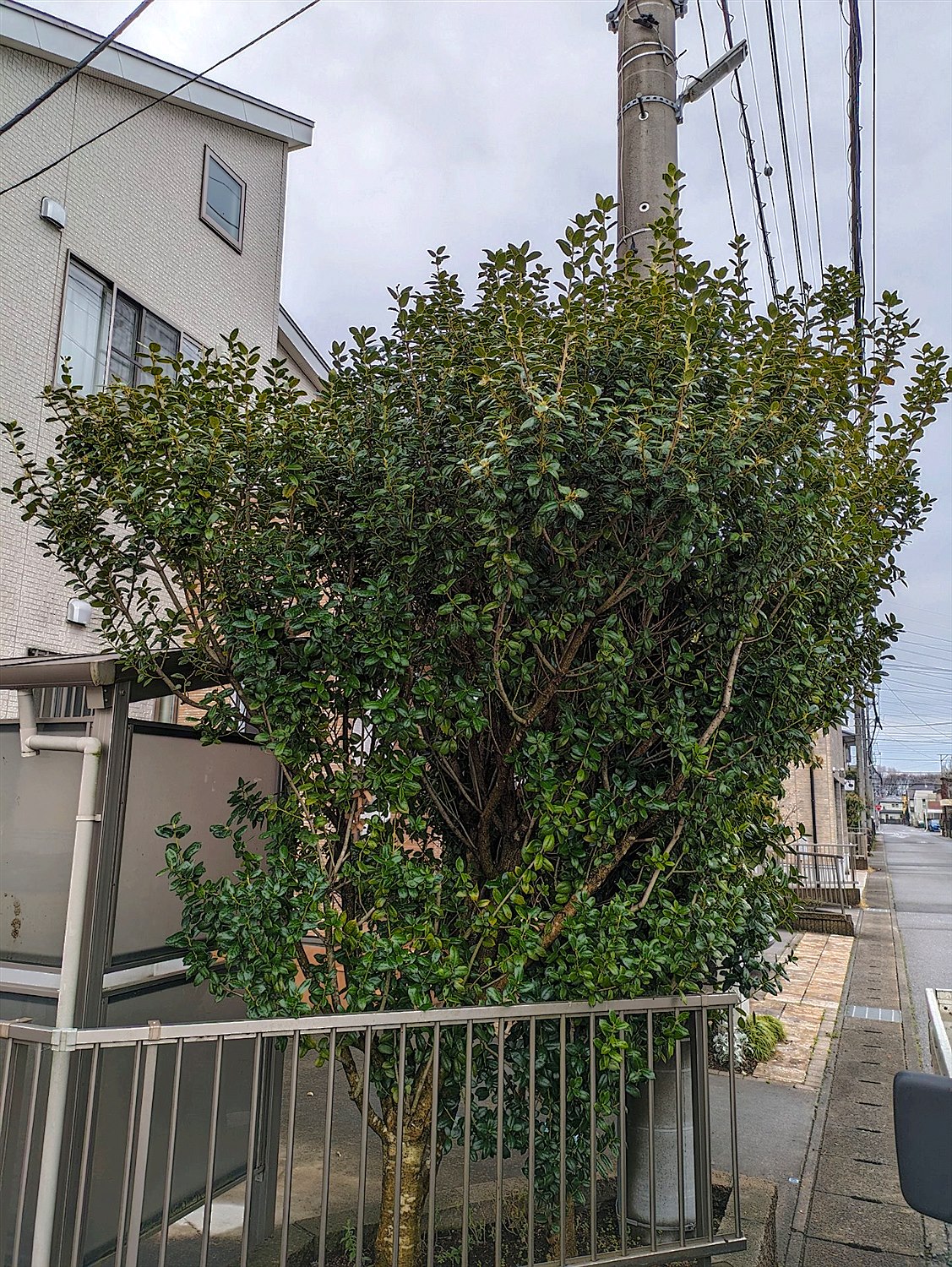 施工前2