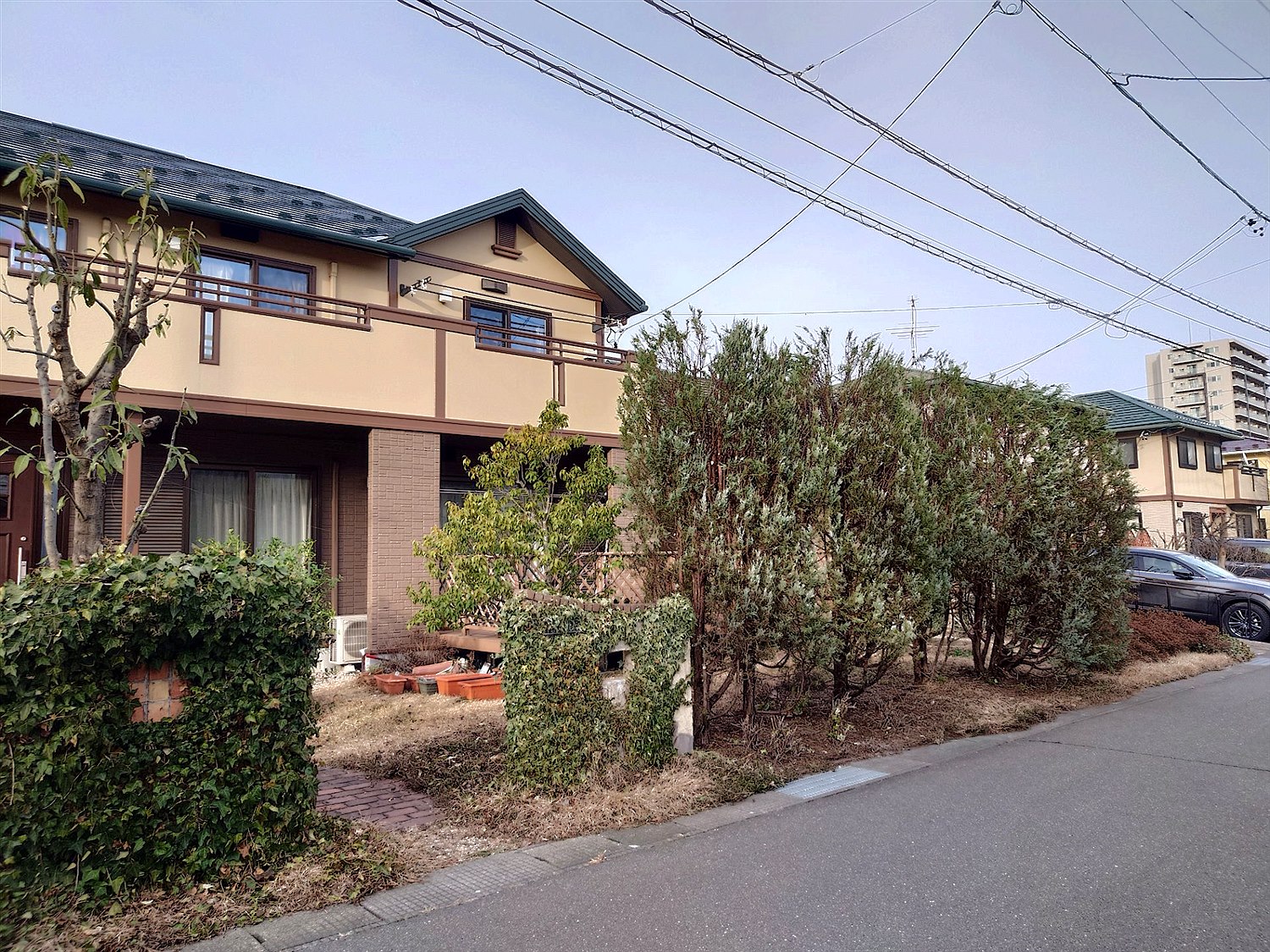 東京都羽村市／庭木剪定