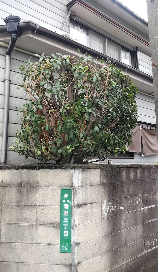 施工後2