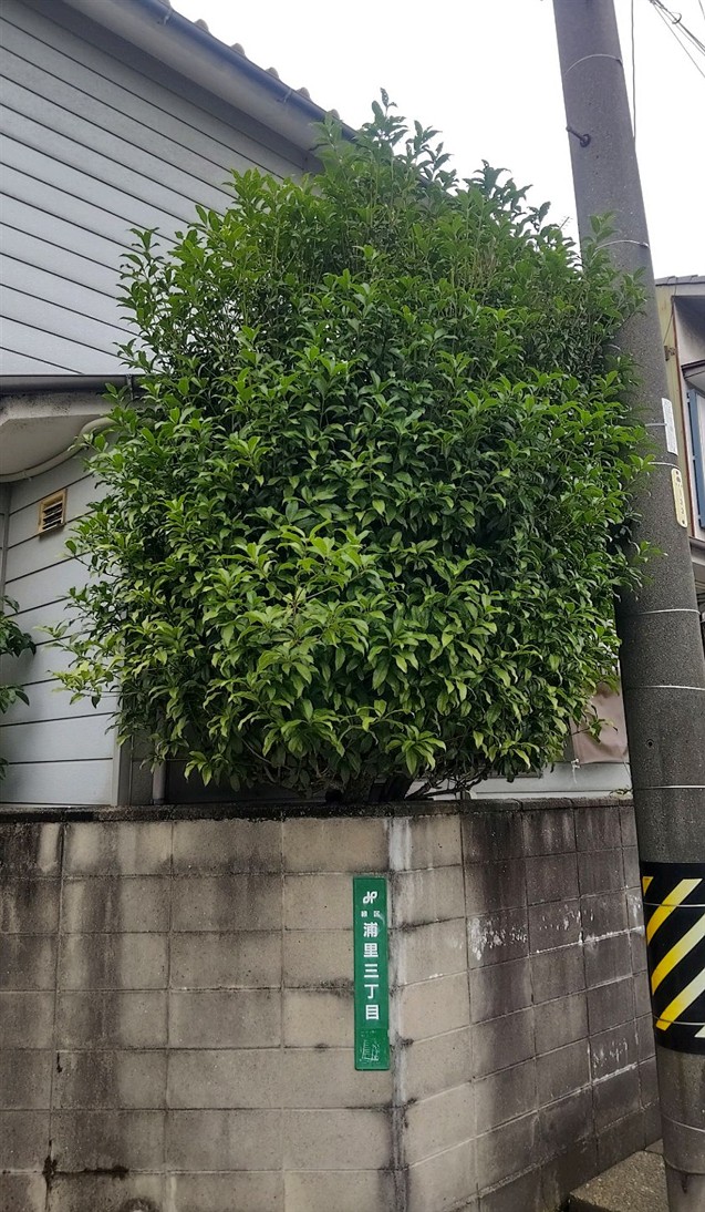 施工前2