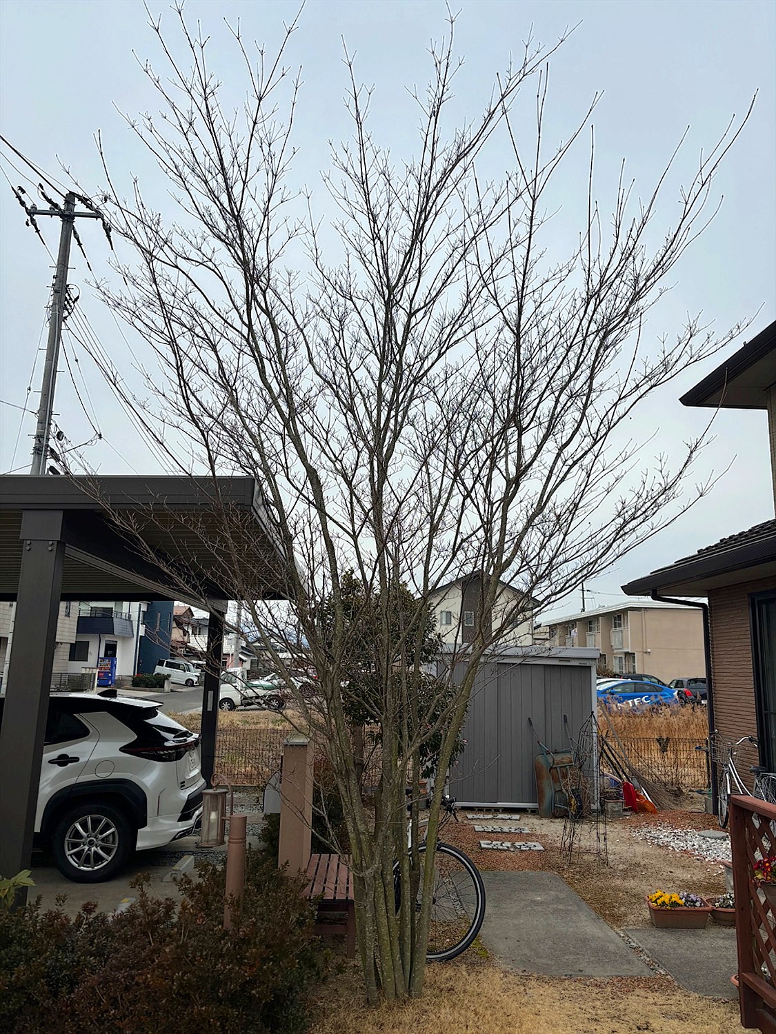 施工前2