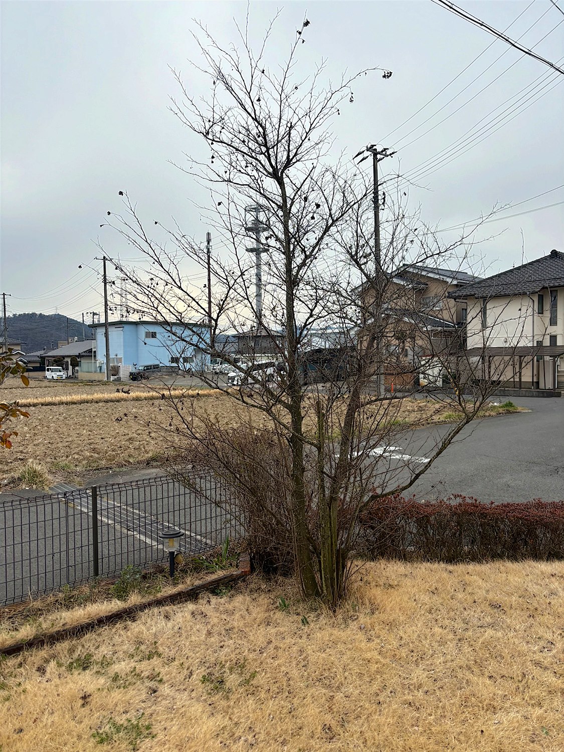 施工前