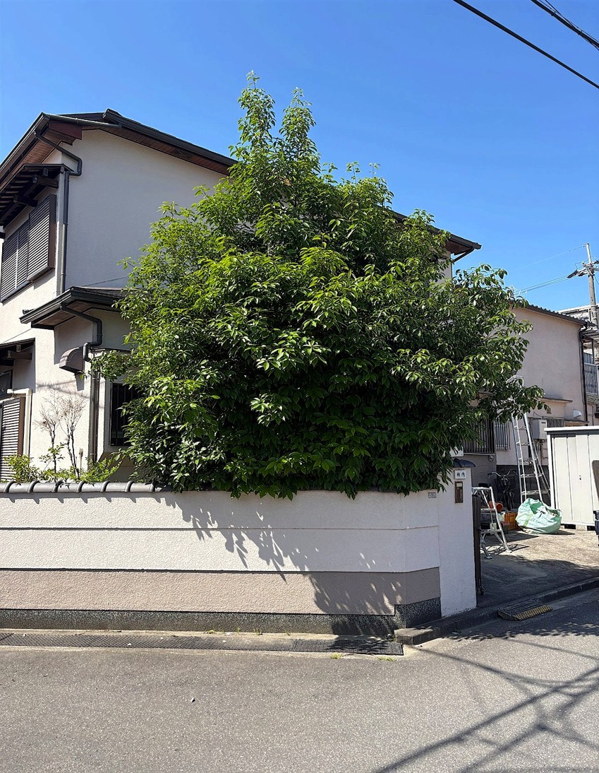 施工前2