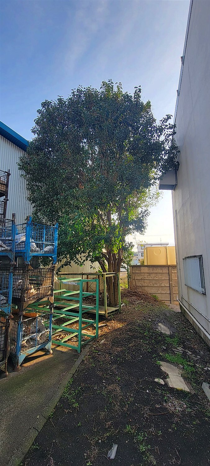 施工前2