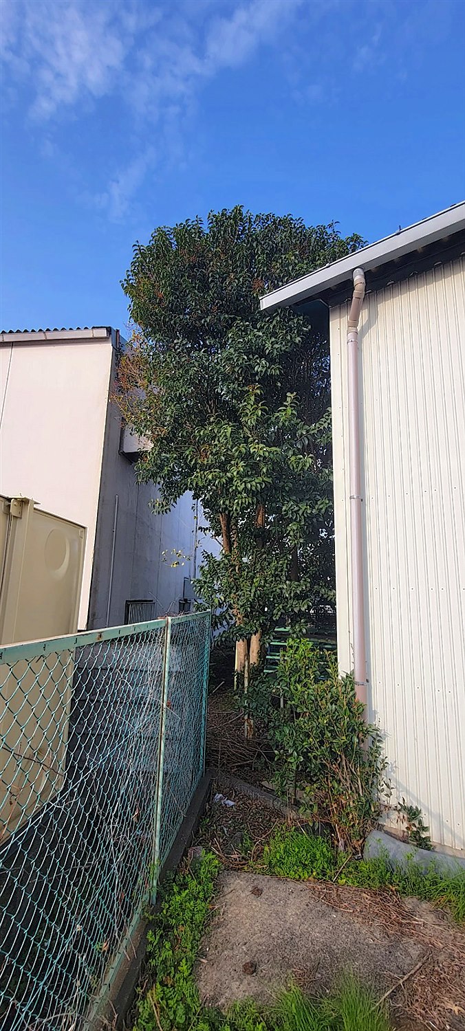 施工前