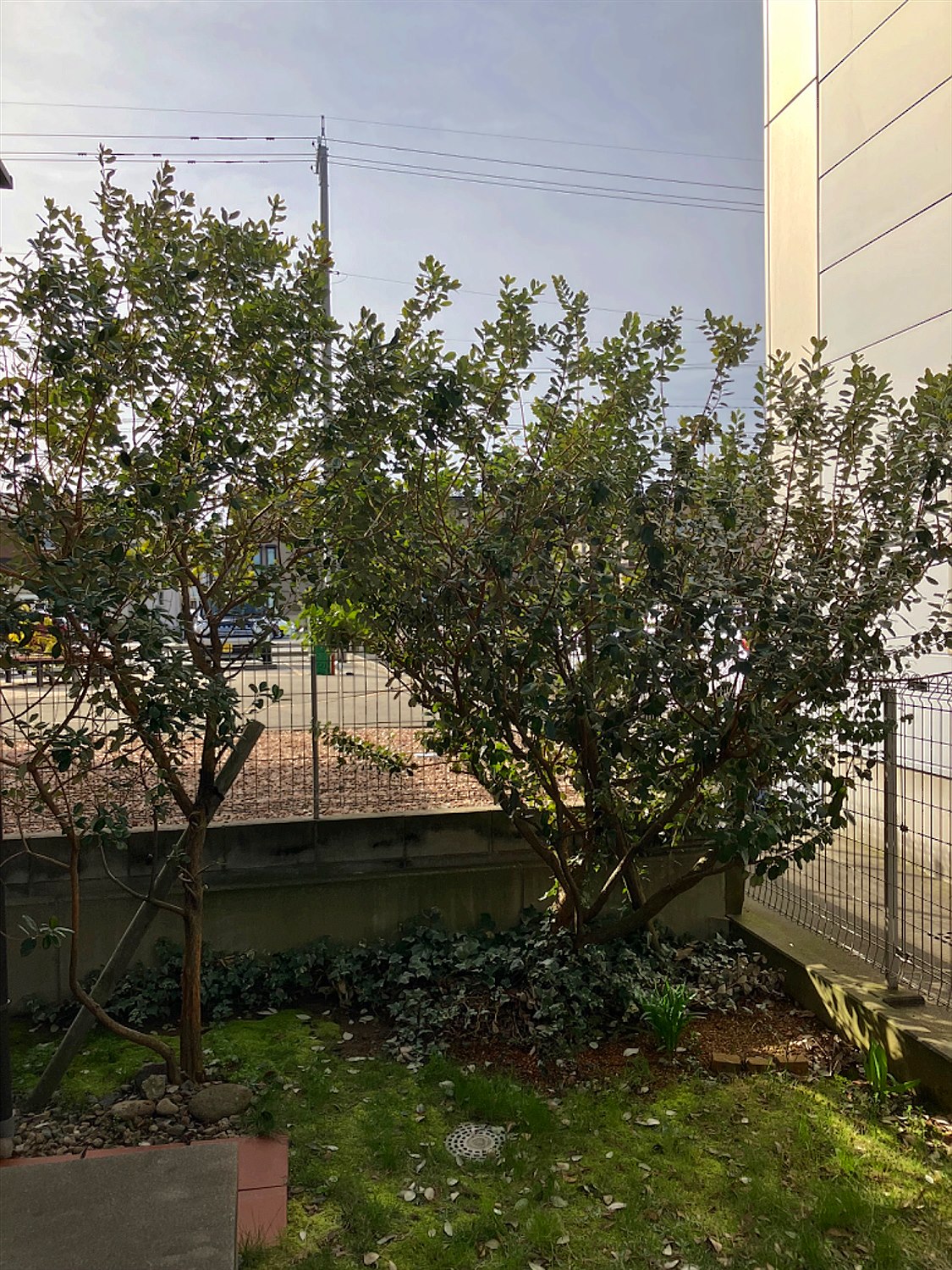 施工前