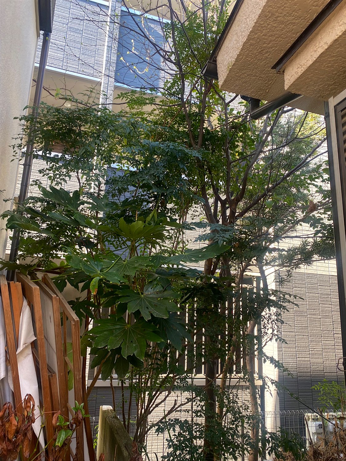 施工前2