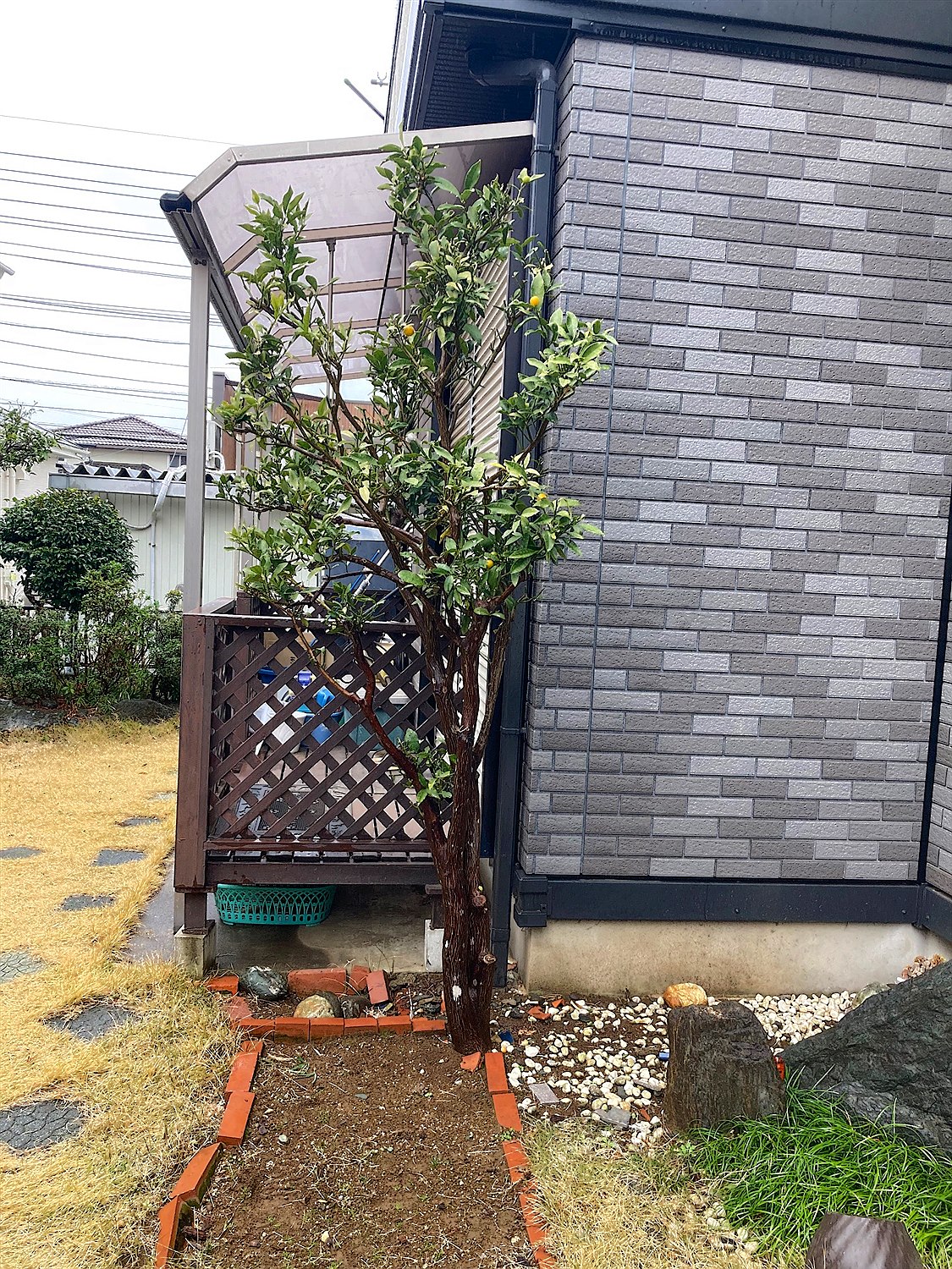 施工前