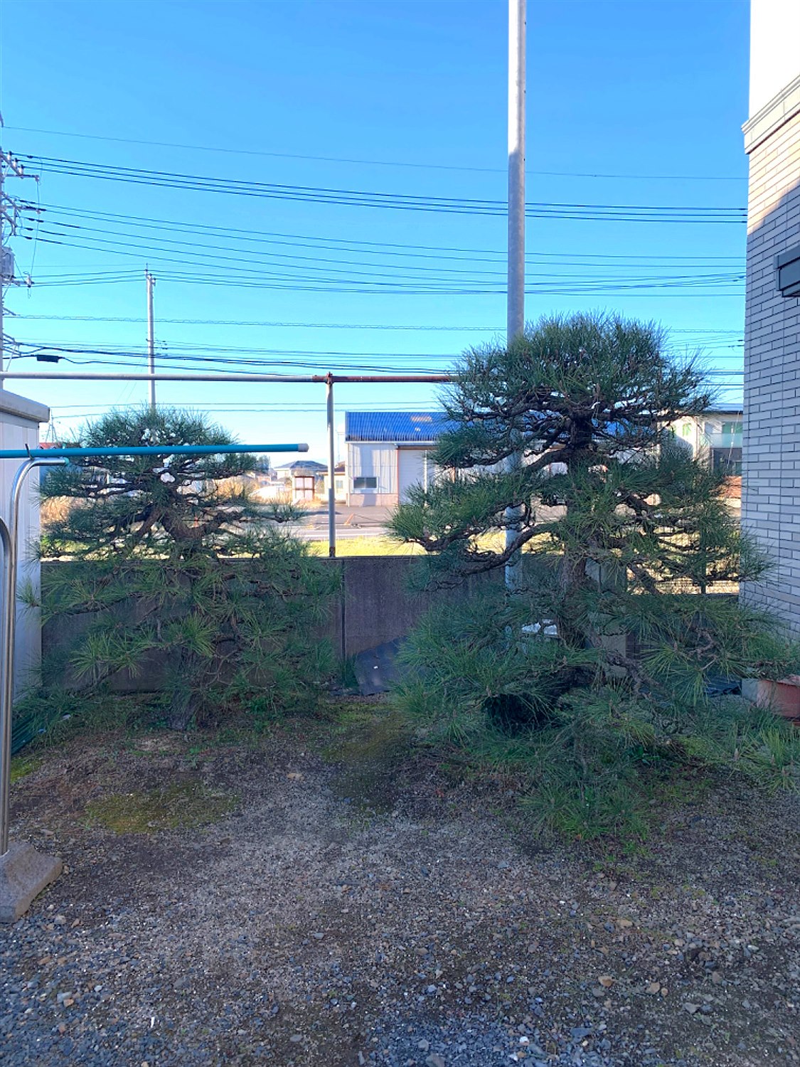施工後2