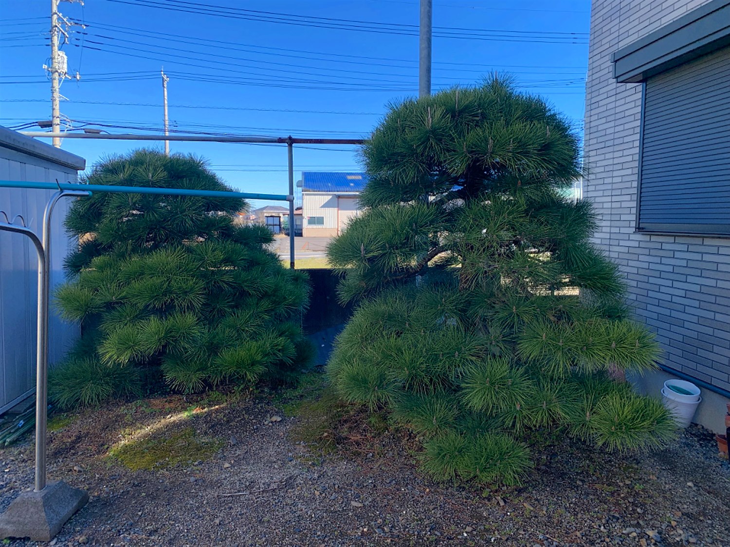 施工前2