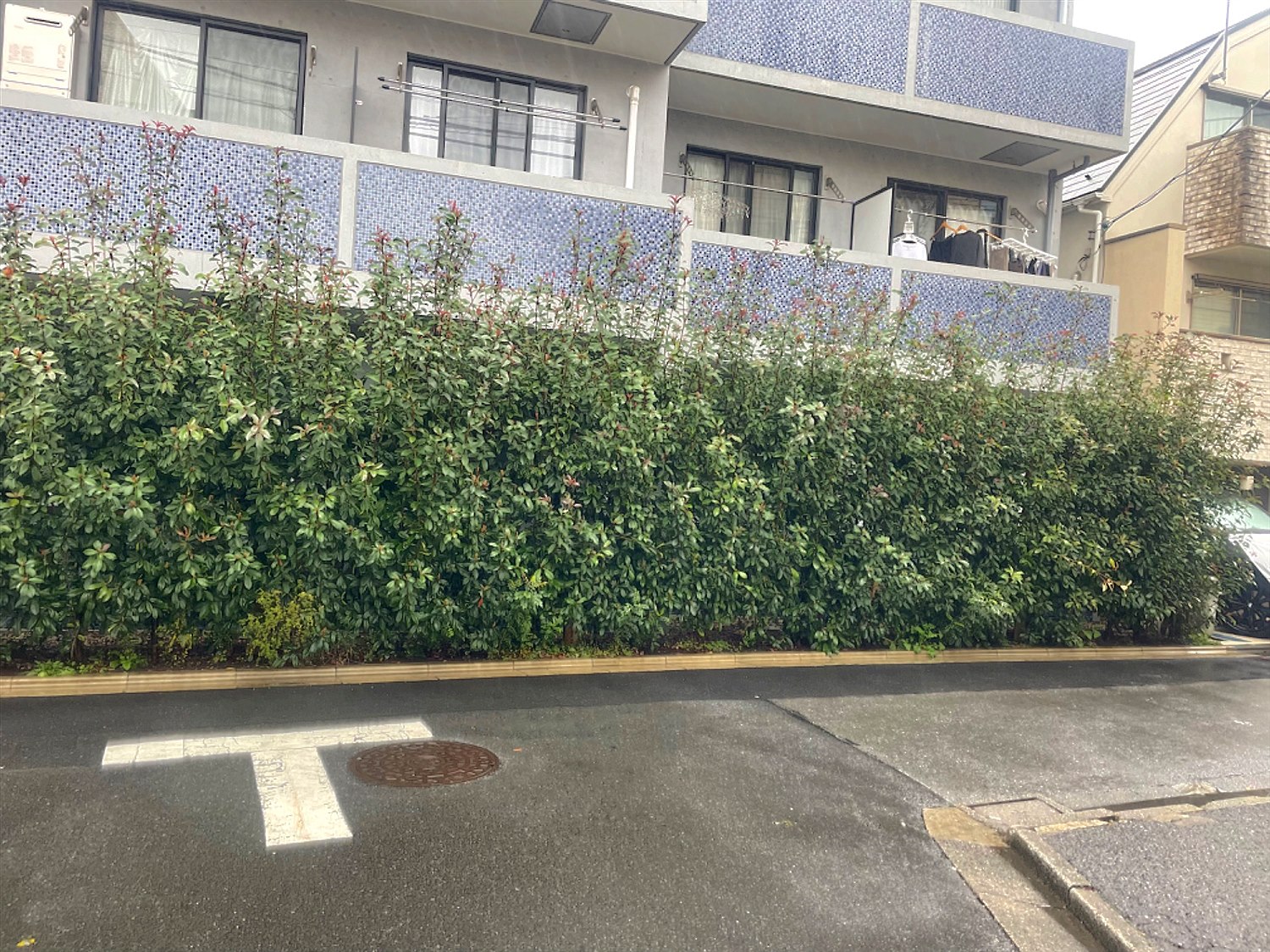 施工前