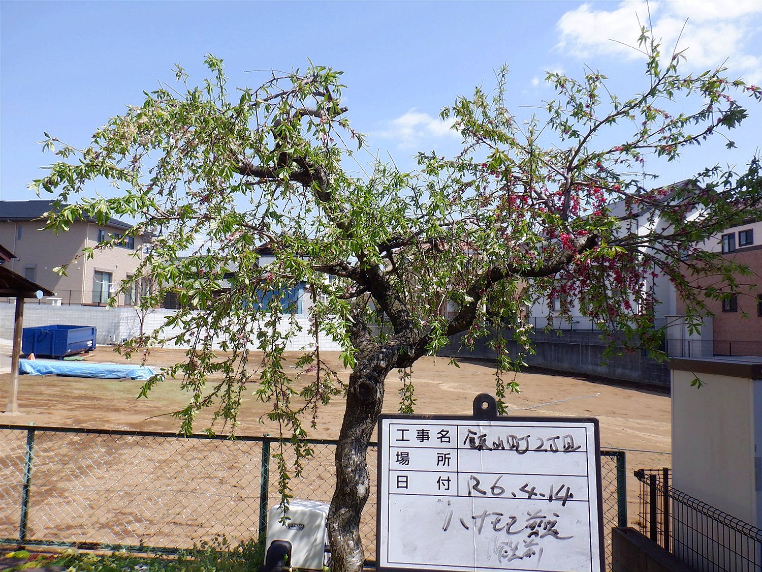 施工前2