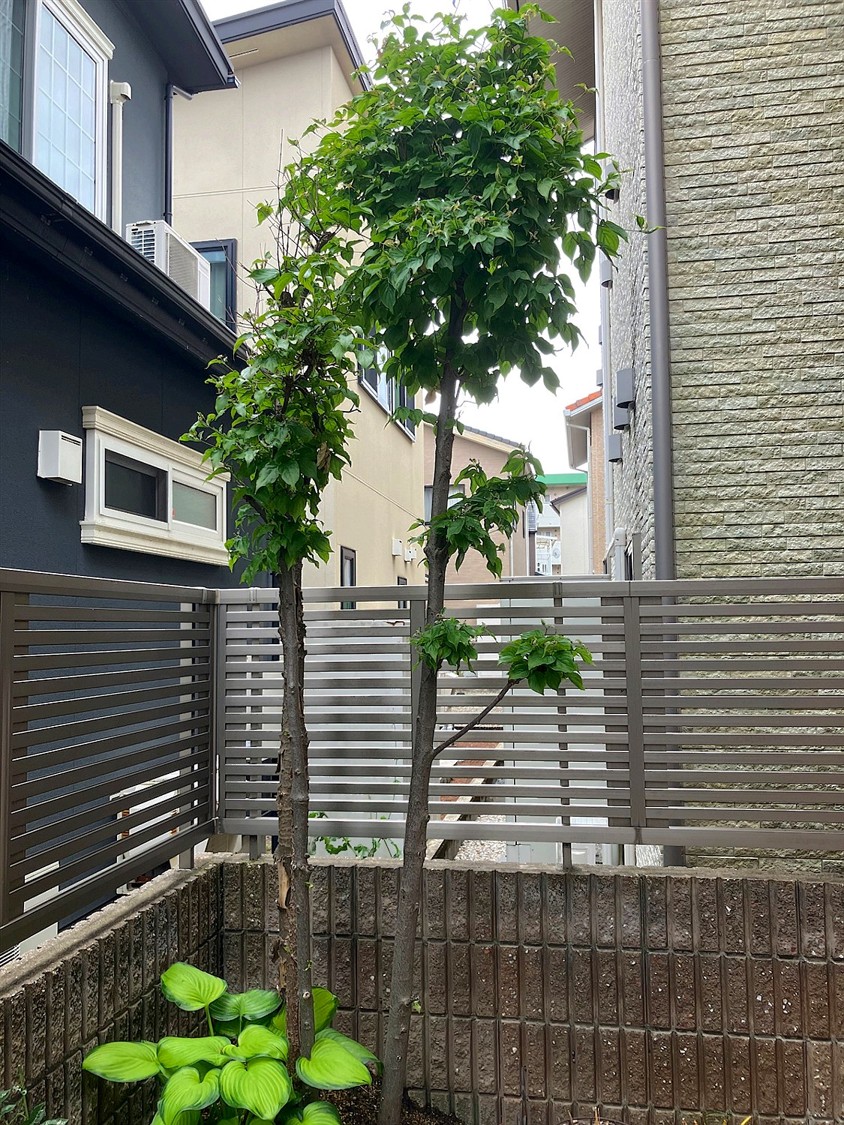 施工前2
